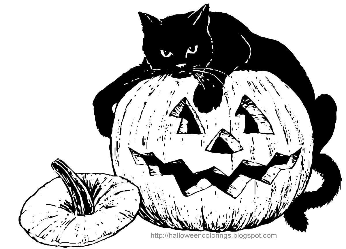 halloween black cat coloring pages free - photo #27